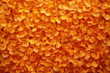 Fototapeta premium Close-up view of many small orange flower petals.