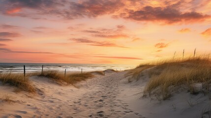Fototapeta premium serene yellow beach