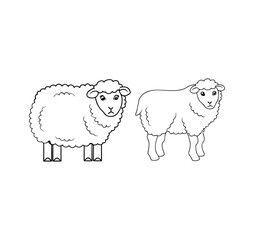 sheep vector illustration
