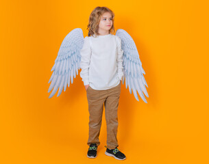 Cute angel child, studio portrait. Angel kid with angels wings, isolated background.