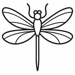 dragonfly on white background