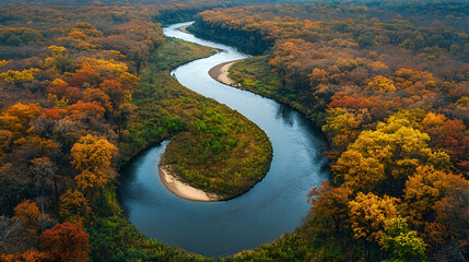 Aerial View of a Winding River Through an Autumn Forest