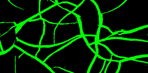 A black and green drawing of a cracked wall, background with cracks. Weathered rough painted surface with patterns of cracks and peeling. Panoramic texture for background and design. 