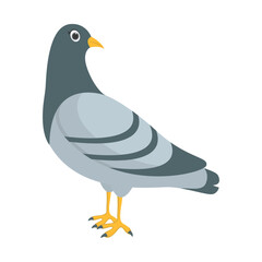 Cute Pigeon Cartoon Character. Isolated on White Background.