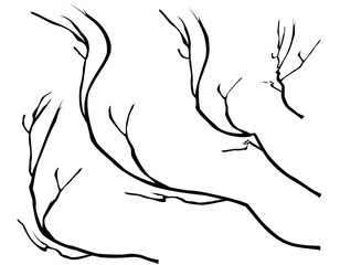 twig template vector design illustration mono color