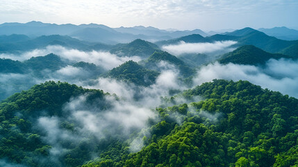 Obraz premium Aerial View of Foggy Green Mountains