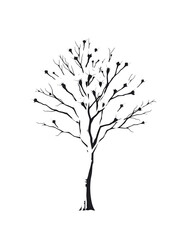 Obraz premium eastern cottonwood tree vector icon from nature collection. date filled flat symbol for mobile concept and web design. Black locust glyph icon. Isolated sign, logo illustration. Vector graphics.