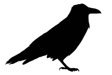 Minimalist vector silhouette of a crow, ideal for Halloween, mystery, and wildlife concepts