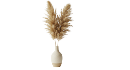 Pampas grass arrangement in a vase isolated PNG with Transparent Background