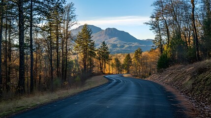 Fototapeta premium Rustic Scenic Forest Highway: Exploring Nature's Beauty Along a Textured Roadway