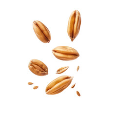 Obraz premium floating peeled ripe wheat seed isolate on transparent background