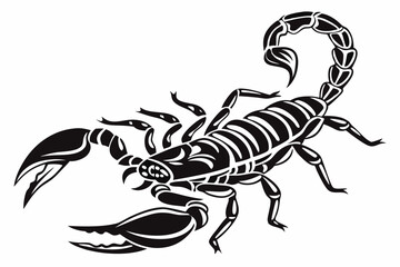 scorpion sihouette black vector