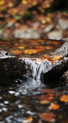 Close up of a small waterfall in the forest with autumn leaves floating in the stream
