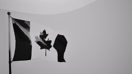 waving canada flag grayscale