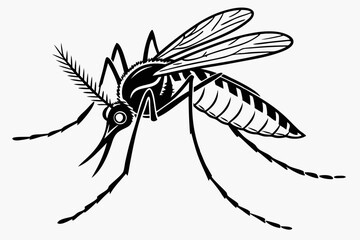mosquito sihouette black vector