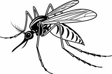 mosquito sihouette black vector