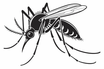 mosquito sihouette black vector