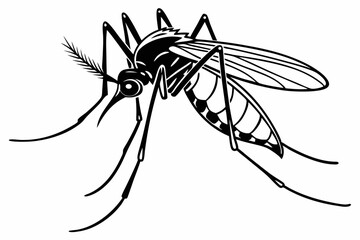 mosquito sihouette black vector