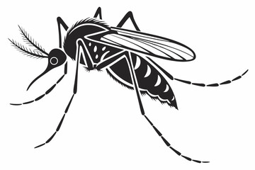 mosquito sihouette black vector