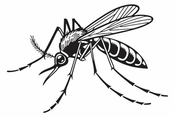 mosquito sihouette black vector