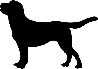 Dog icon in flat style. Pet, animal, tail, barking, purring, guard, isolated on transparent background