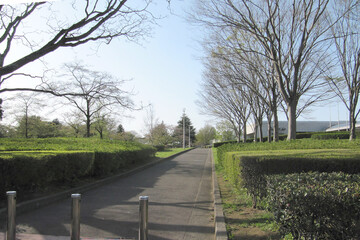 日本：佐倉城址公園の風景【佐倉城跡・日本100名城】千葉県佐倉市