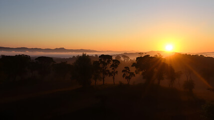 Uganda sunrise with trees, hills, shadows and morning fog