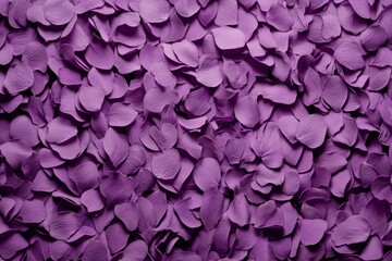 Obraz premium Close-up view of a vibrant purple flower petal backdrop.