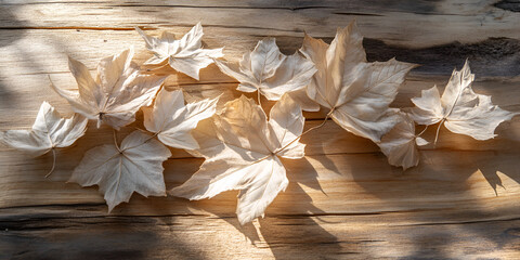 Sunlit Pale Leaves on Wooden Surface &ndash; Autumn Flatlay

