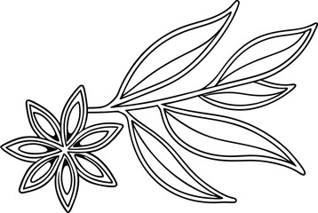 Star Anise And Leaves Black Outline Vector Illustration Simple Botanical Design