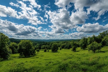 Fototapeta premium Landscape view of green field and trees under a cloudy blue sky