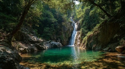 Breathtaking Waterfall in Jungle Paradise/ジャングルの壮大な滝6