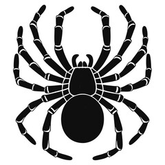 Obraz premium Scenic Driveway Through Mountains