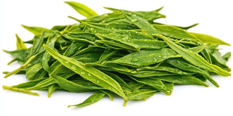 Fototapeta premium Fresh Green Tea Leaves Dewy and Delicate on White Background.
