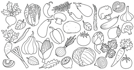 Vegetables doodle set with sketch style. Hand drawn vegetable cartoon organic design elements set isolated white background.