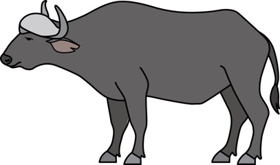 アフリカスイギュウ