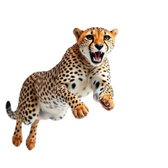 Full Body Cheetah Isolated on Transparent Background