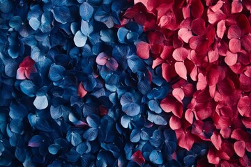 Close-up view of vibrant blue and crimson flower petals.