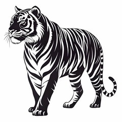 Fototapeta premium white tiger vector illustration