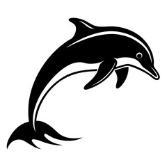 Obraz premium Dolphin leaping out of water with splash