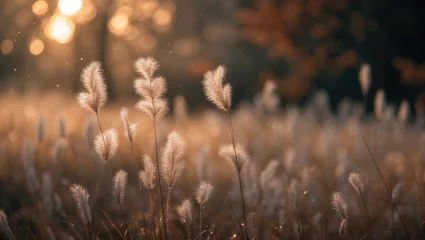 Crédence de cuisine  Minimalist autumn scene with tall grass and pampas, showcasing organic textures and warm tones  © CryptoCanvas