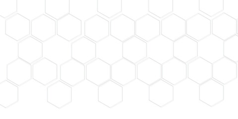 Light gray or white out line hexagon  3d effect pattern with shadow seamless texture background. Use for book, poster, flyer, website vector illustration. 