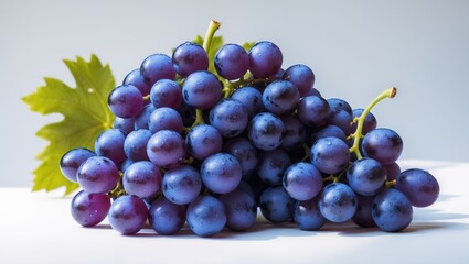 Fototapeta premium White background featuring a bunch of blue grapes with a fresh, wet appearance