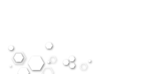 grey and whti hexagon white background wall pattern