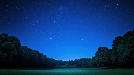 Starry night sky over grassy field and trees