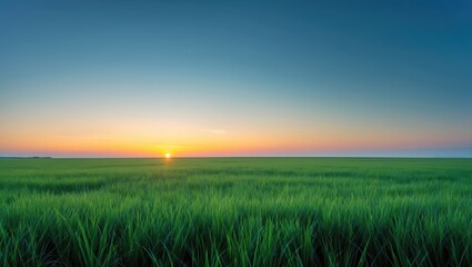 Fototapeta premium Panoramic scene of a green meadow with a natural backdrop