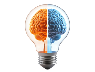 Isolated Light Bulb Displaying Brain with Orange and Blue Hemispheres
