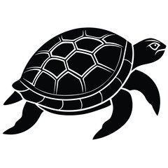 Vector illustration of a cute baby cartoon turtle, a slow wild reptile with a shell, isolated on white for animal and pet themes