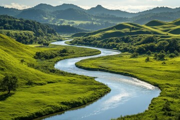 Obraz premium River winding through green hills on a white background