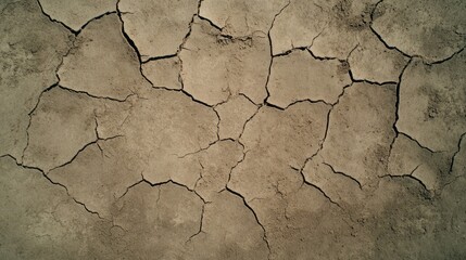 Fototapeta premium Dry cracked earth texture arid ground surface detail